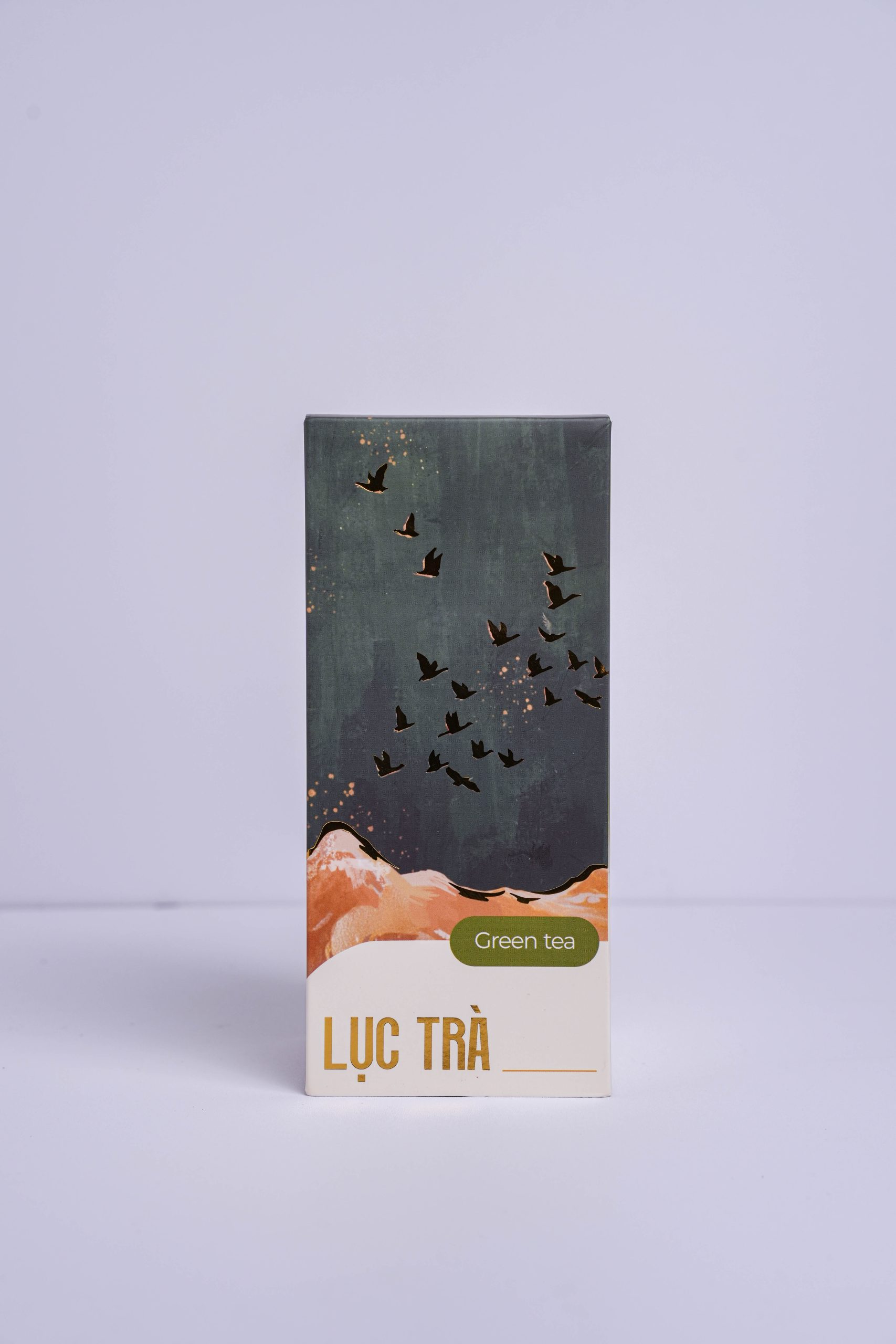 Bản sao của TAI01851 Bản sao của TAI01851