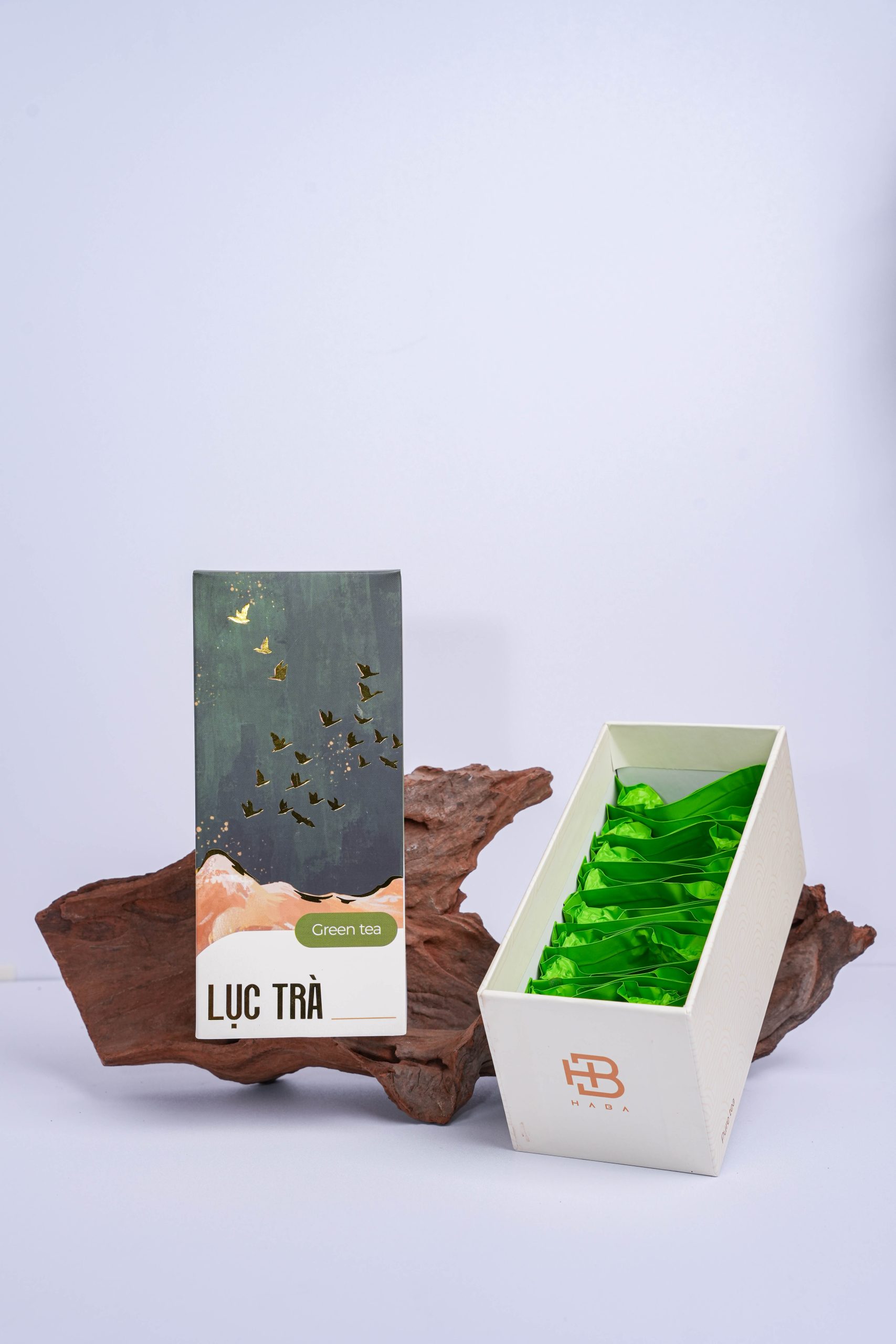 Bản sao của TAI01874 Bản sao của TAI01874