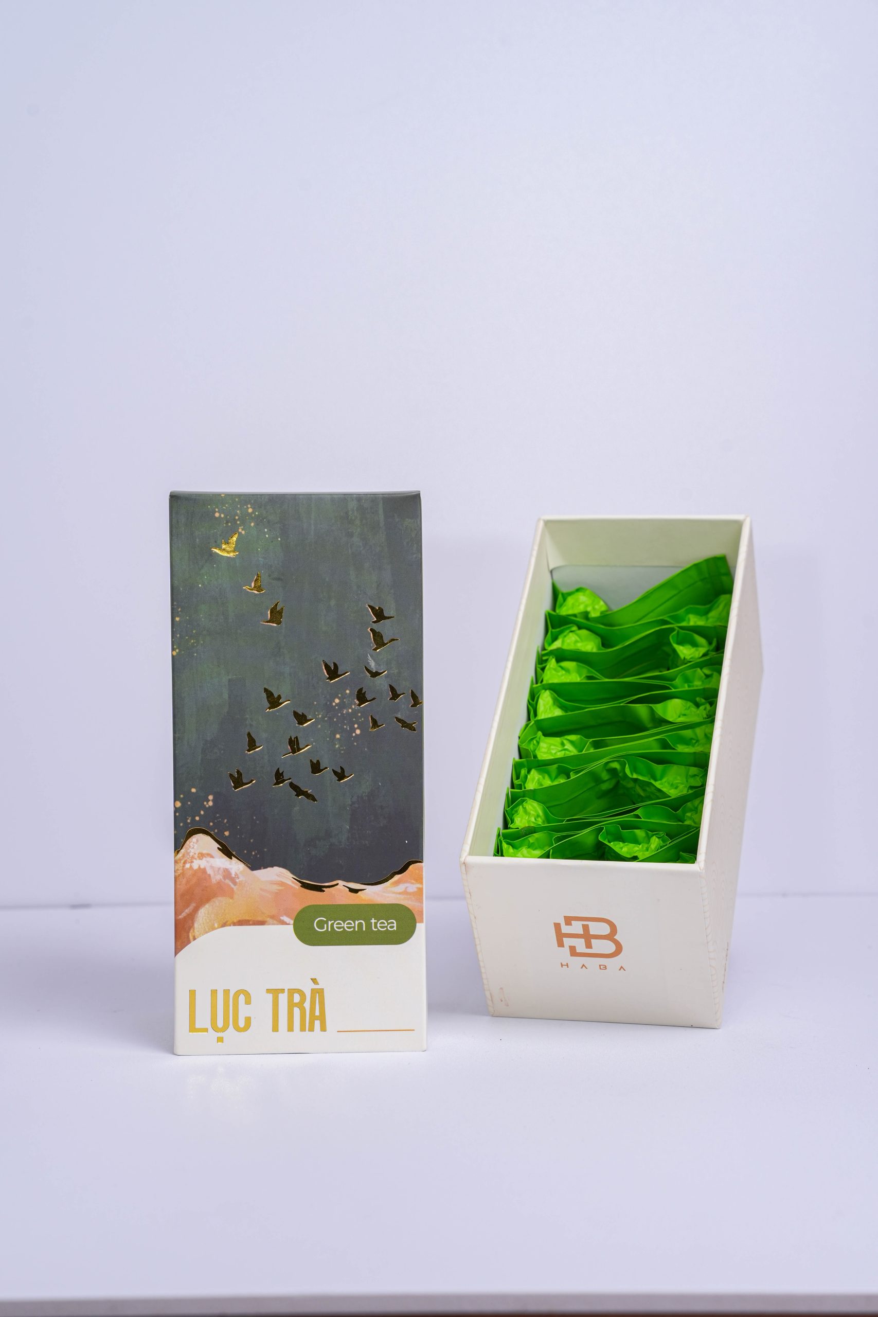 Bản sao của TAI01889 Bản sao của TAI01889