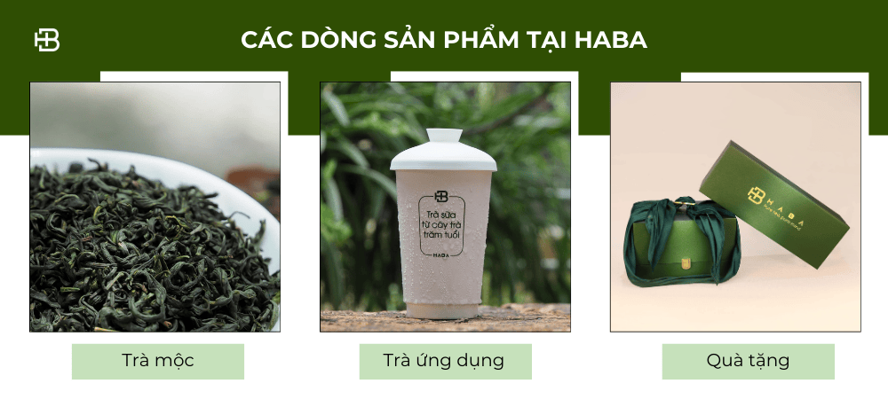 Các dòng sản phẩm của Haba Tea