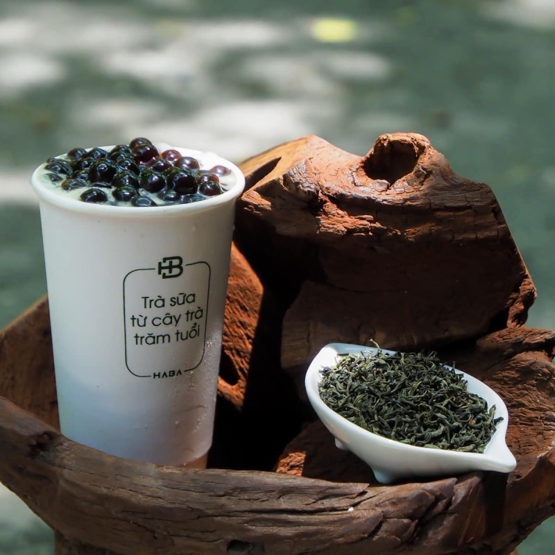 Tại Sao Chọn Trà Nguyên Liệu Pha Trà Sữa Từ Haba Tea?