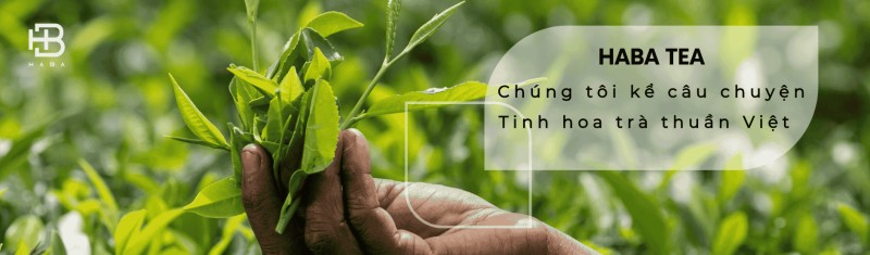 Haba Tea - Địa Chỉ Cung Cấp Trà Nguyên Liệu Pha Chế Chất Lượng