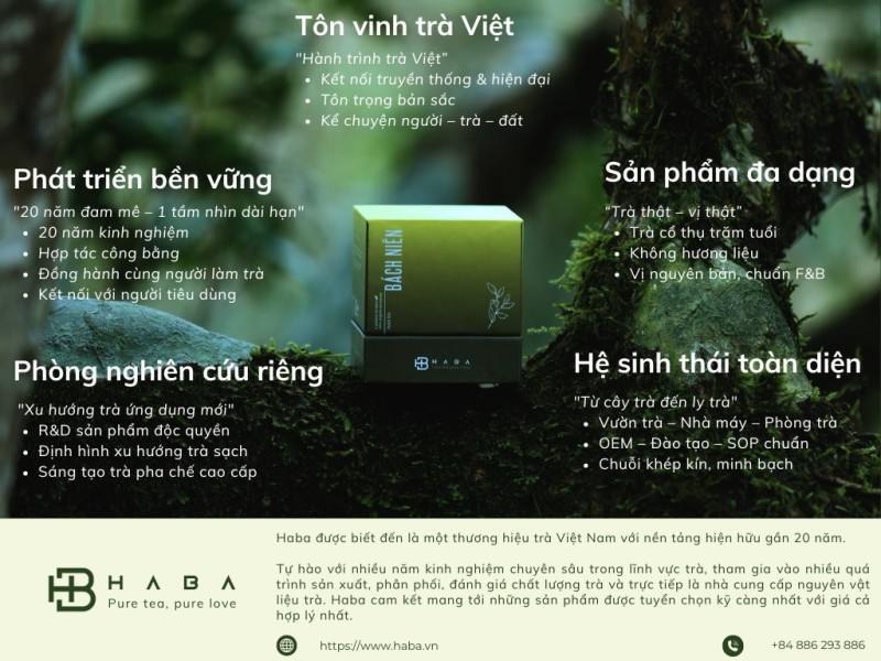 bán trà shan tuyết
