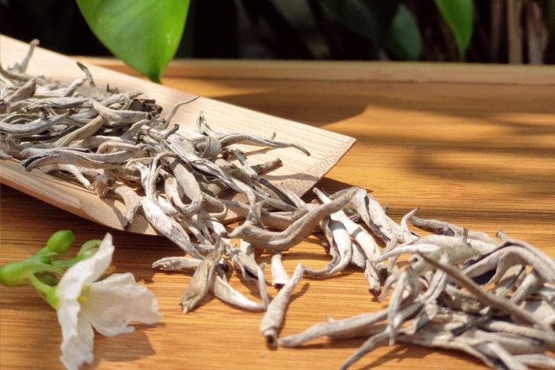 Thế Nào Là Bạch Trà Shan Tuyết?