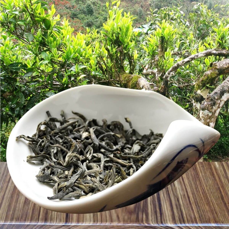 cách nhận biết trà shan tuyết