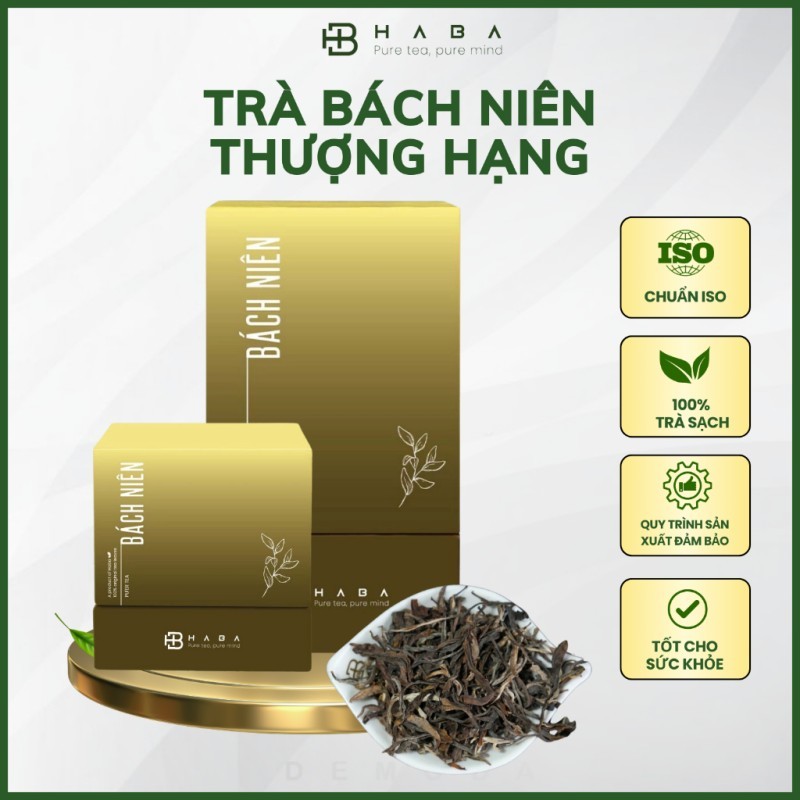 Giá Trà Shan Tuyết Hiện Nay