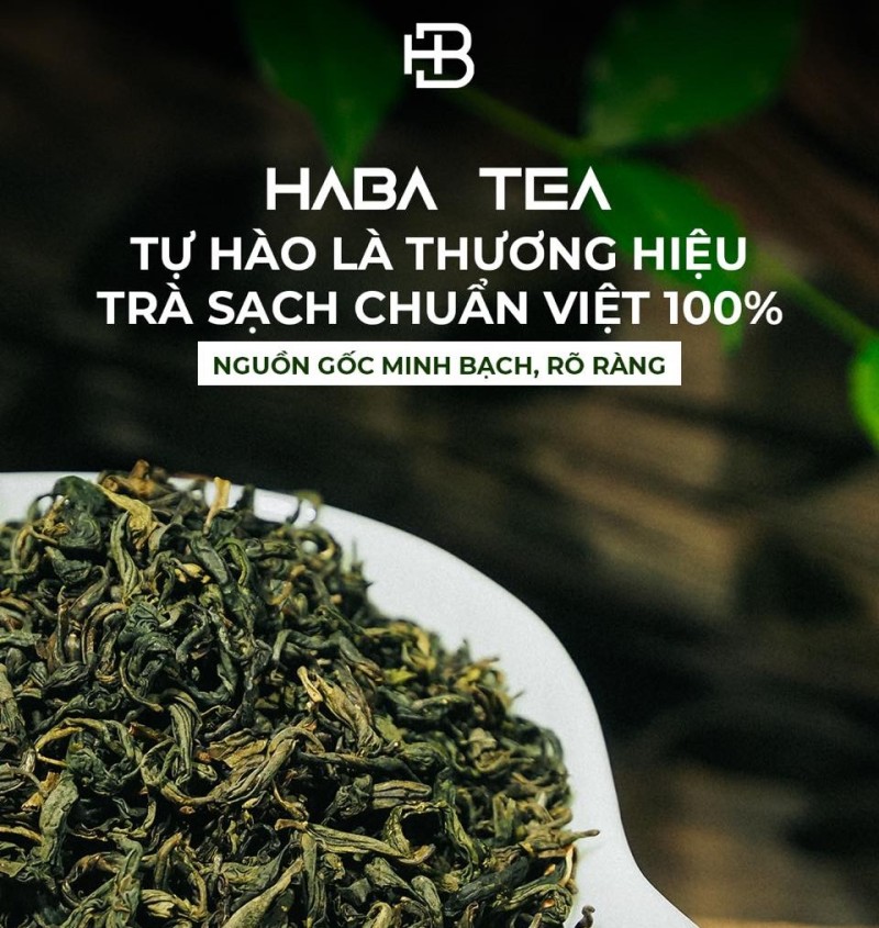 Tại Sao Nên Chọn Trà Shan Tuyết Tại Haba Tea? - Sự Giao Thoa Giữa Tinh Hoa Truyền Thống Và Tiêu Chuẩn Hiện Đại