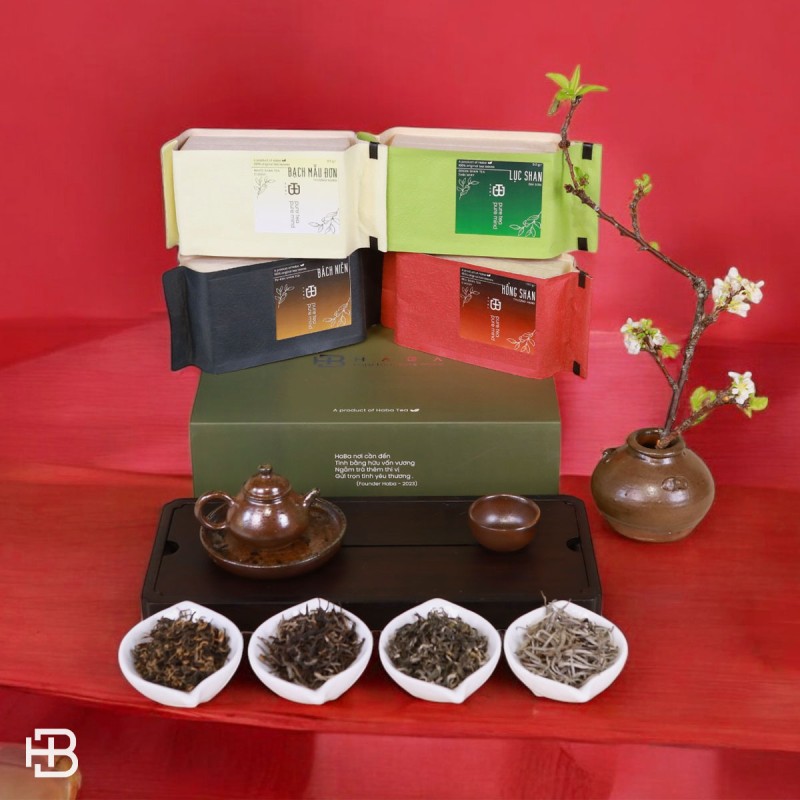 Những dòng trà Shan Tuyết nổi bật