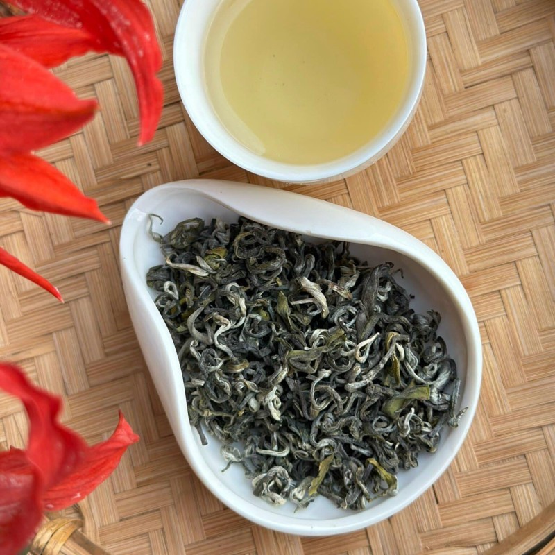 trà shan tuyết Mộc Châu