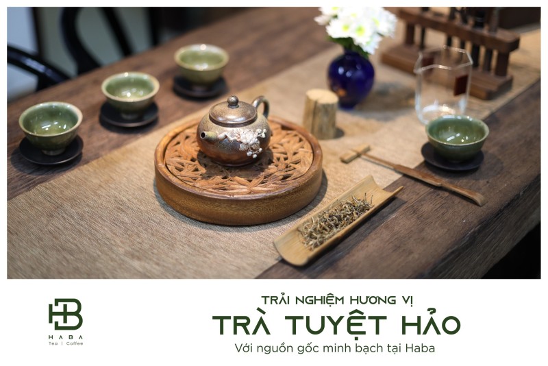 Tại Sao Nên Lựa Chọn Haba Tea Khi Tìm Mua Trà Shan Tuyết?