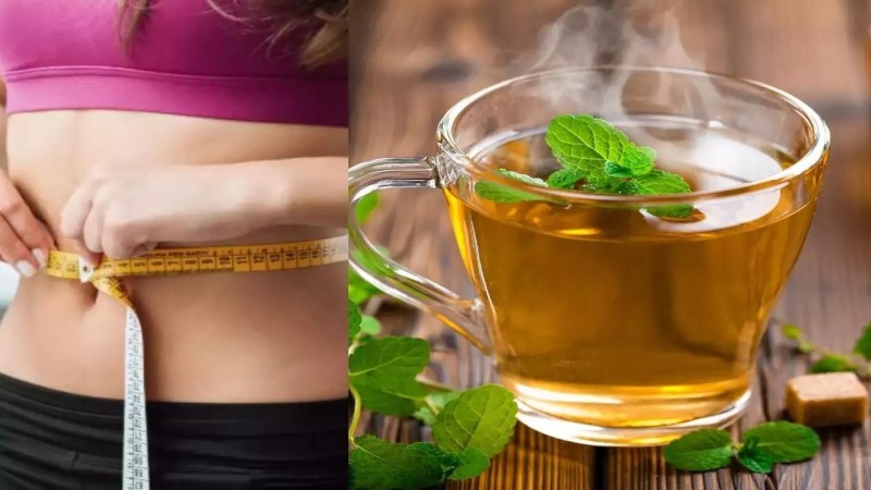 Trà Shan Tuyết Công Dụng Tuyệt Vời Cho Sức Khỏe