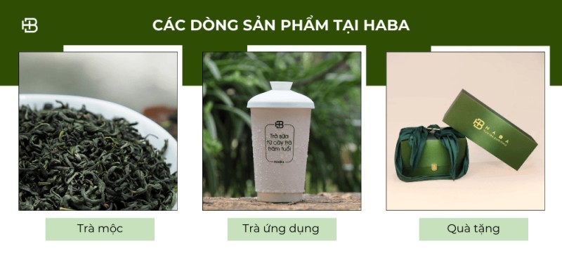 Tìm Mua Trà Shan Tuyết Cổ Thụ Hà Nội Chất Lượng Tại Haba