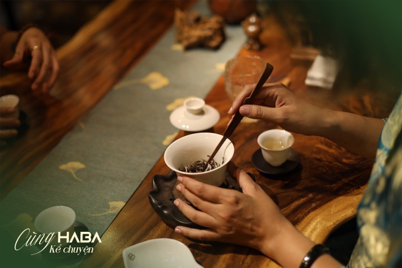 Cách pha trà xanh Shan Tuyết đúng chuẩn