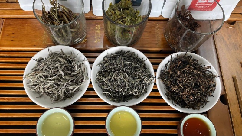 trà shan tuyết đặc sản ở đâu