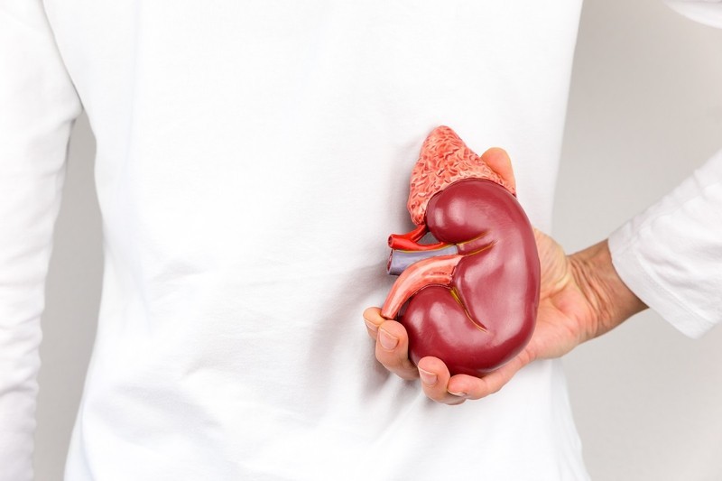 Lời khuyên khi uống trà Shan Tuyết để bảo vệ thận