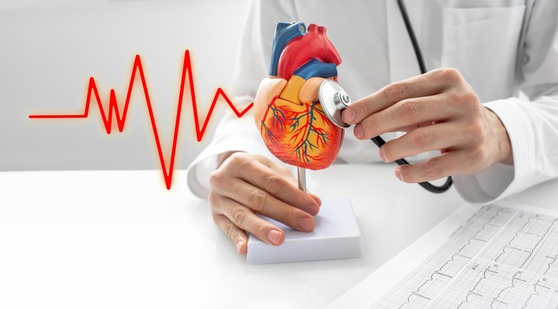 Vì sao trà Shan Tuyết được đánh giá cao trong hỗ trợ sức khỏe tim mạch?