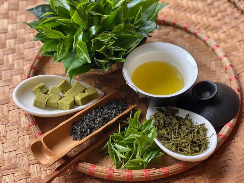 Trà xanh – thức uống "vàng" cho sức khỏe