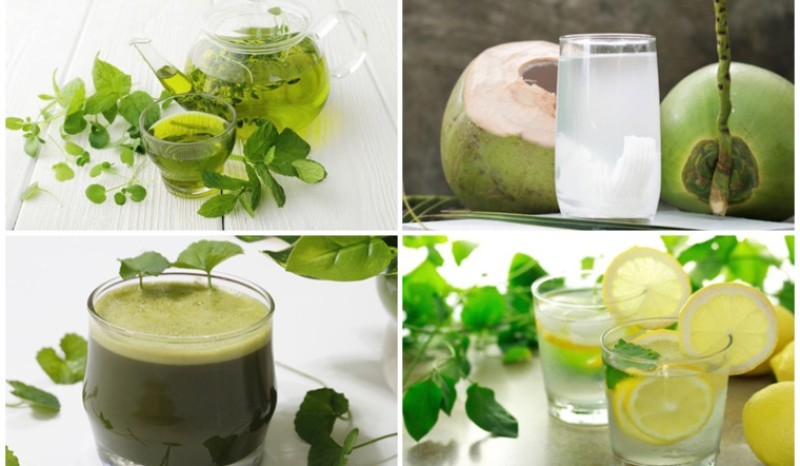 Những Loại Thức Uống Làm Mát Cơ Thể Dễ Dùng, Hiệu Quả Cao