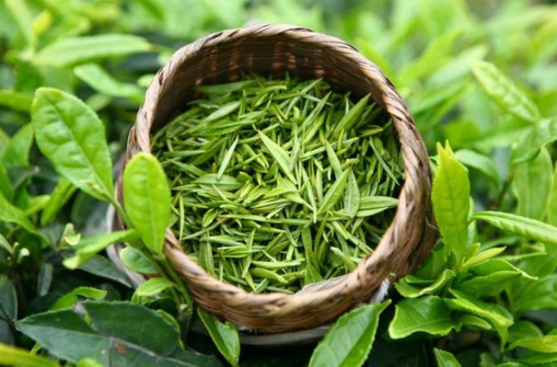 trà là loại thực phẩm gì​