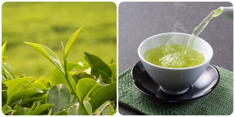 Trà xanh (Green tea)