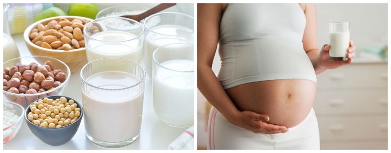 Sữa bầu hoặc sữa hạt