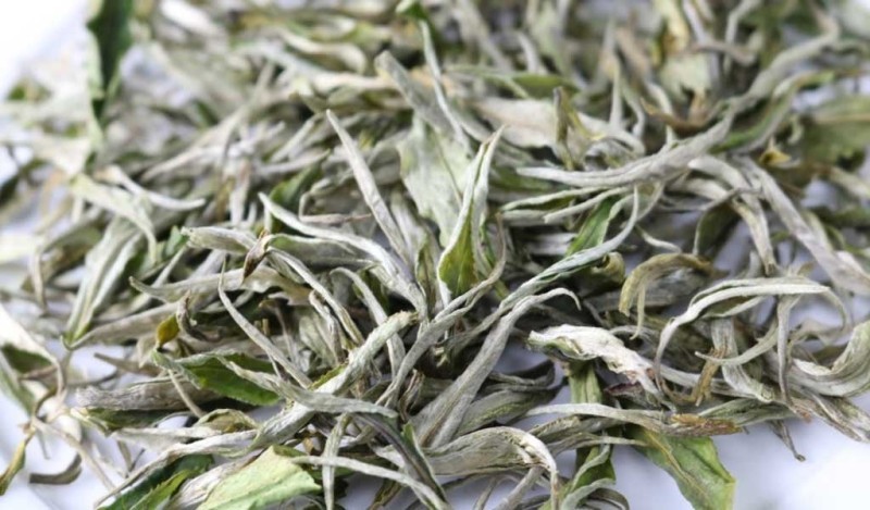 1 chai trà shan tuyết bao nhiêu calo