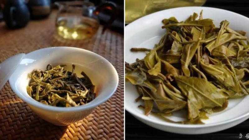 Bã Trà Dùng Để Làm Gì? Công Dụng Bất Ngờ Từ Phần Tưởng Chừng “Vứt Đi”