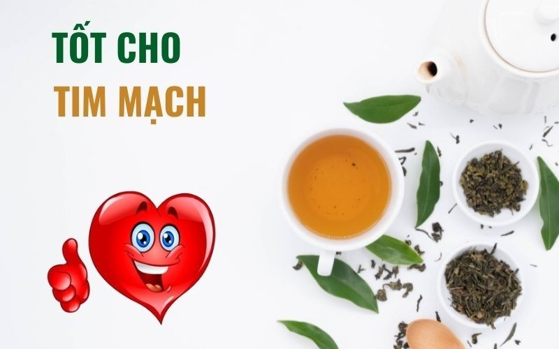 Tác động của trà Shan đối với sức khỏe tim mạch