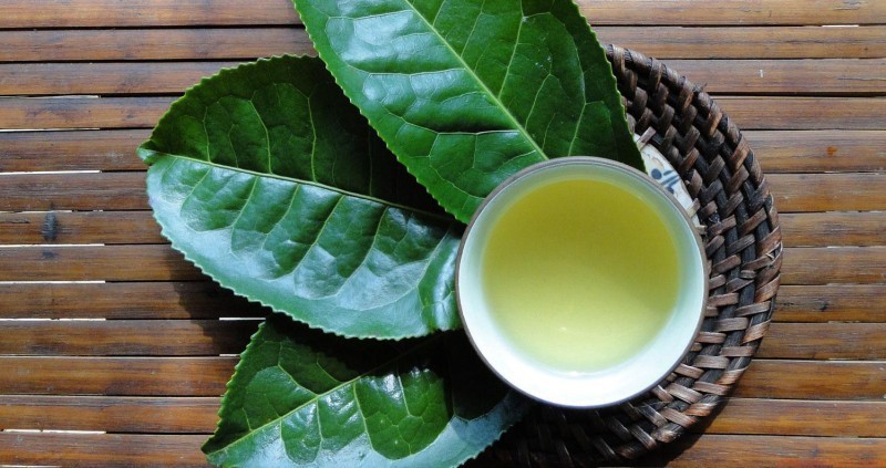 Những lưu ý quan trọng khi pha trà bằng lá trà tươi để giữ trọn hương vị