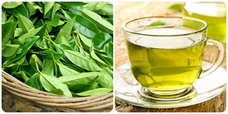 cách pha trà bằng lá trà tươi