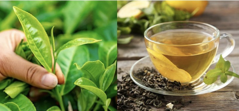 Những loại trà hỗ trợ giảm huyết áp hiệu quả