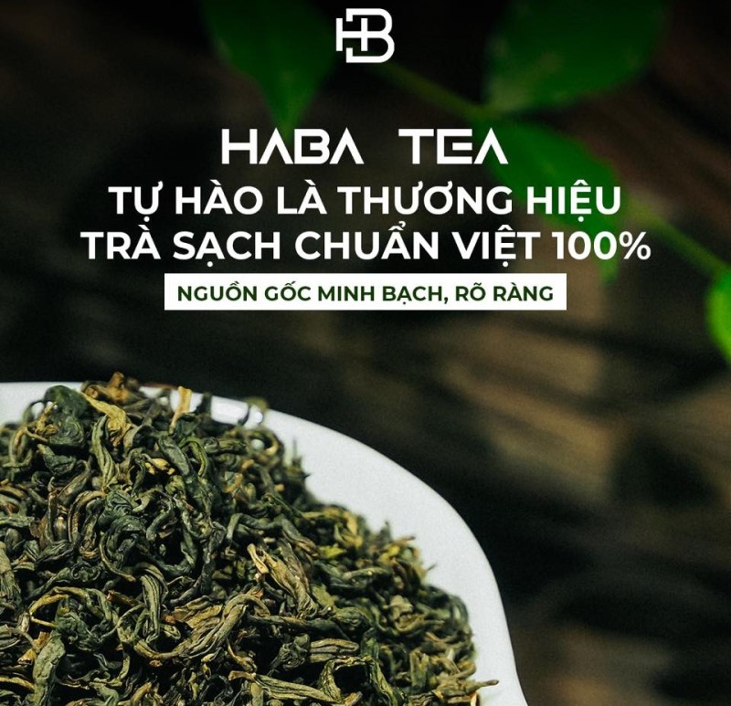 Mua trà Shan Tuyết chính hãng tại Haba Tea