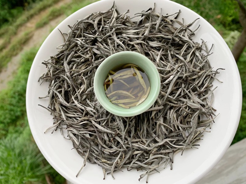 Trà Shan Tuyết – Tinh túy từ núi rừng, trẻ hóa làn da
