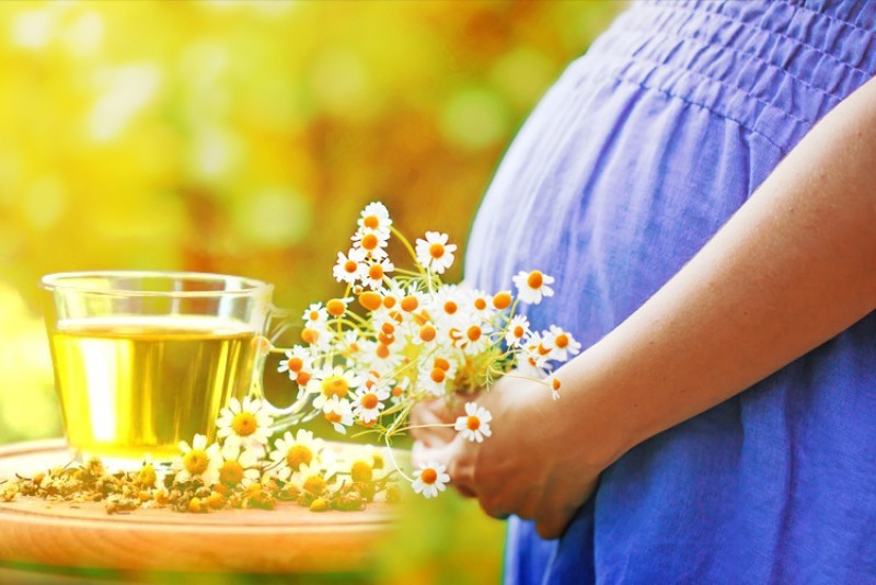 bà bầu có nên uống trà hoa cúc